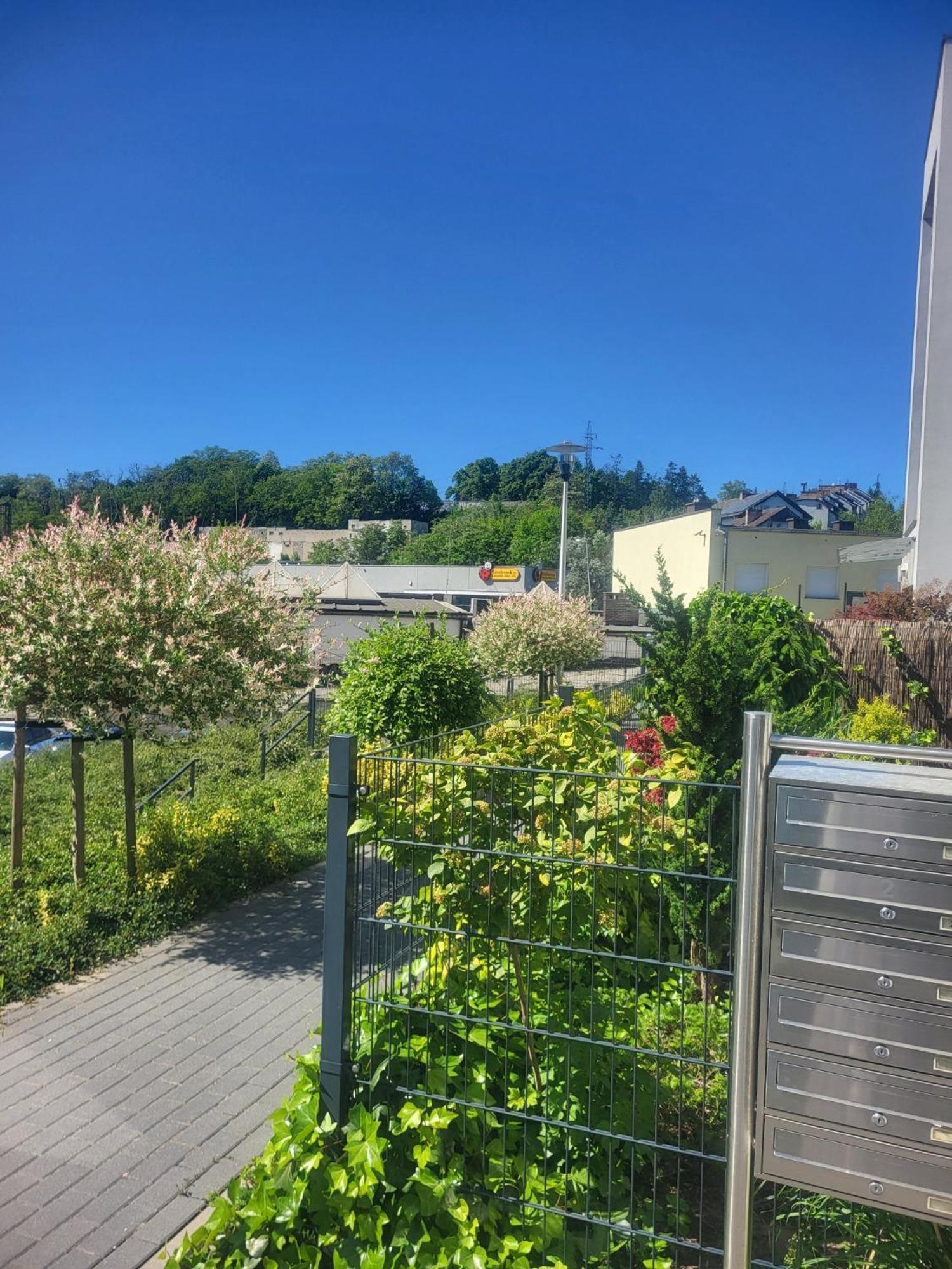 Apartamenty Olimpijska Gorzów Wielkopolski Exteriér fotografie